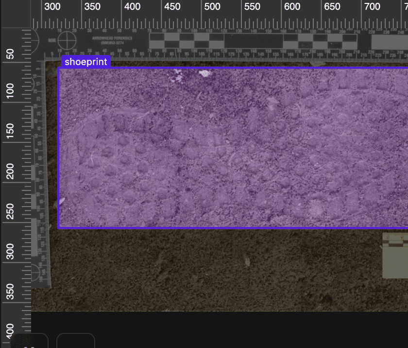 Shoeprint2