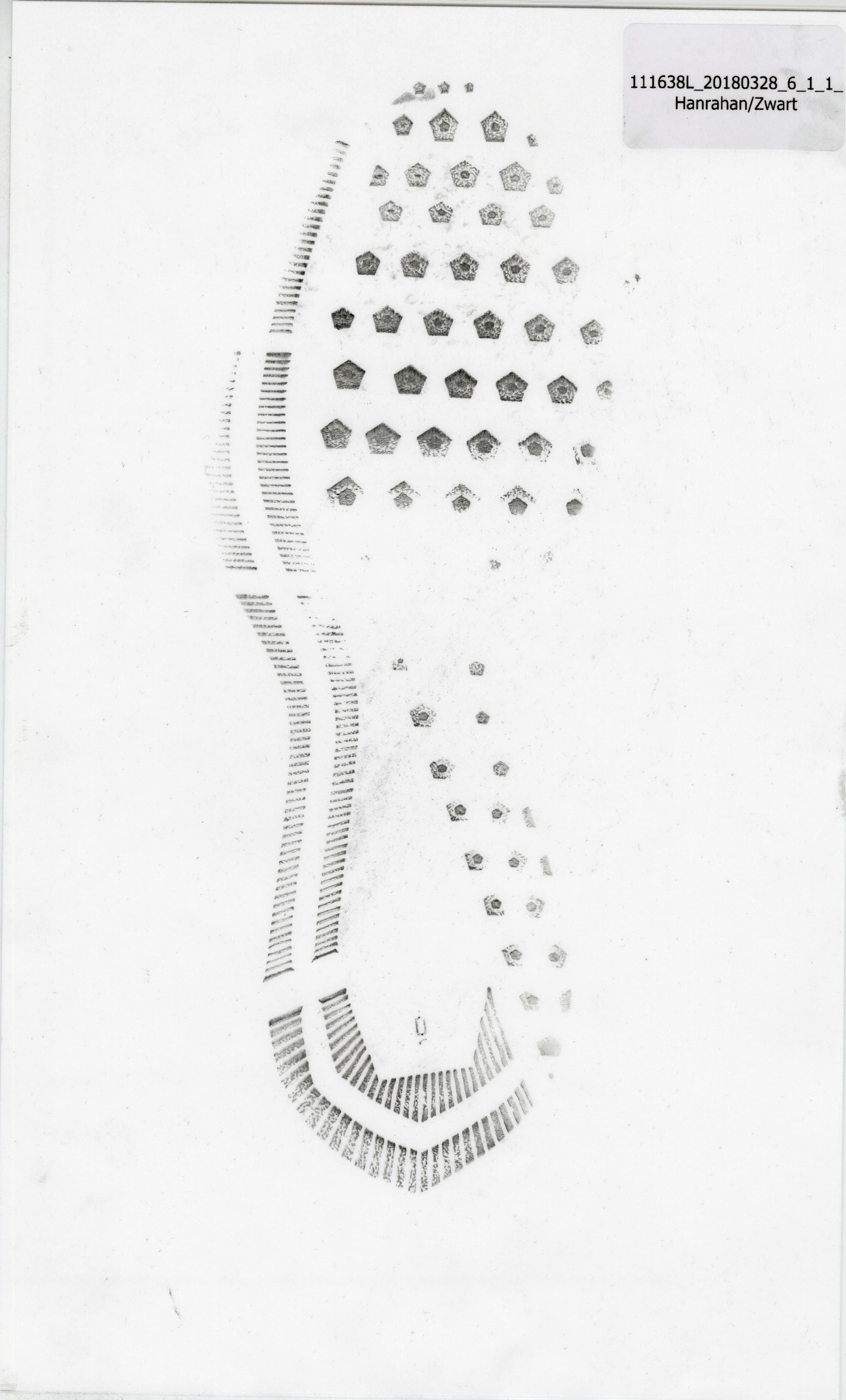 Database image 5