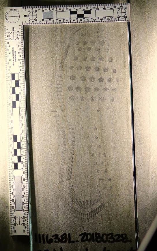 Query Shoeprint