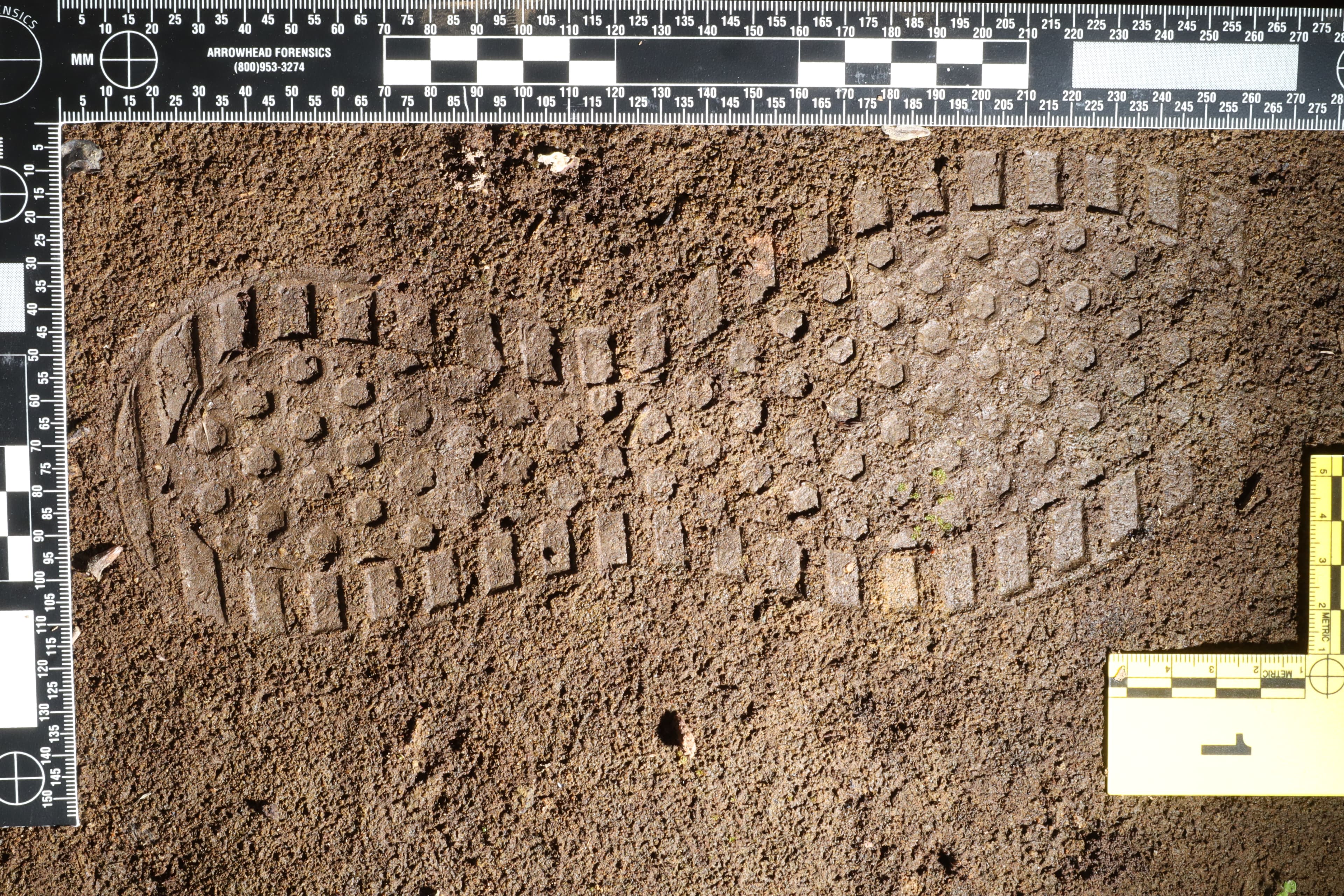 Database image 2