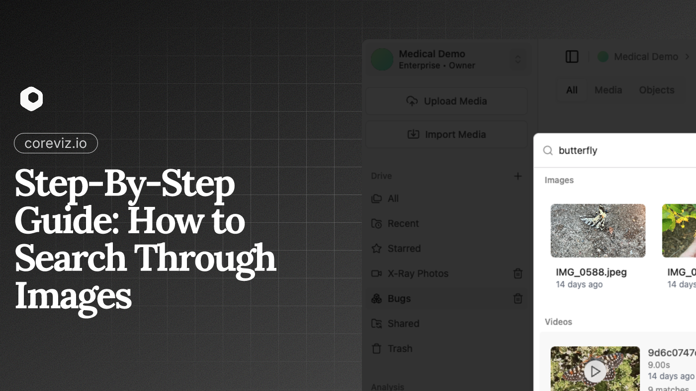 Step-By-Step Guide: How to Search Through Images | CoreViz Blog